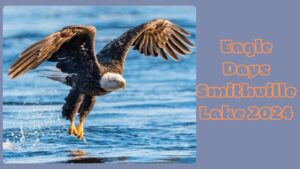 Eagle Days Smithville Lake 2024