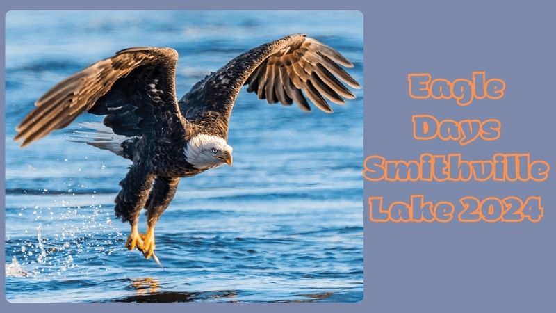 Eagle Days Smithville Lake 2024