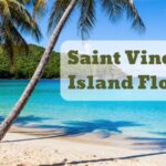 saint vincent island florida