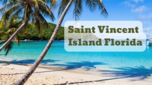 Saint Vincent Island Florida: A Hidden Gem of Nature