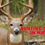 hunting season in maine