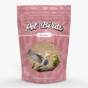 Seed Food for Birds