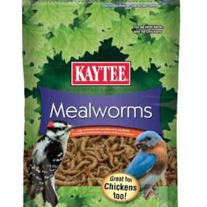 Insect Food for Birds