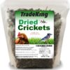 Natural Dried Crickets – Food for Bearded Dragons, Wild Birds, Chickens, Fish, and Reptiles (8 oz Resealable Bag) – Veterinary Certified