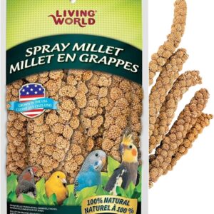 Living World – Premium Millet Spray Treat for Budgies, Canaries, Finches, Cockatiels & Other Pet Birds, 3.5 Oz