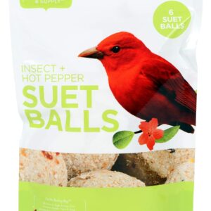 Pacific Bird & Supply Co. Insect & Hot Pepper Suet Balls, 6-Pack